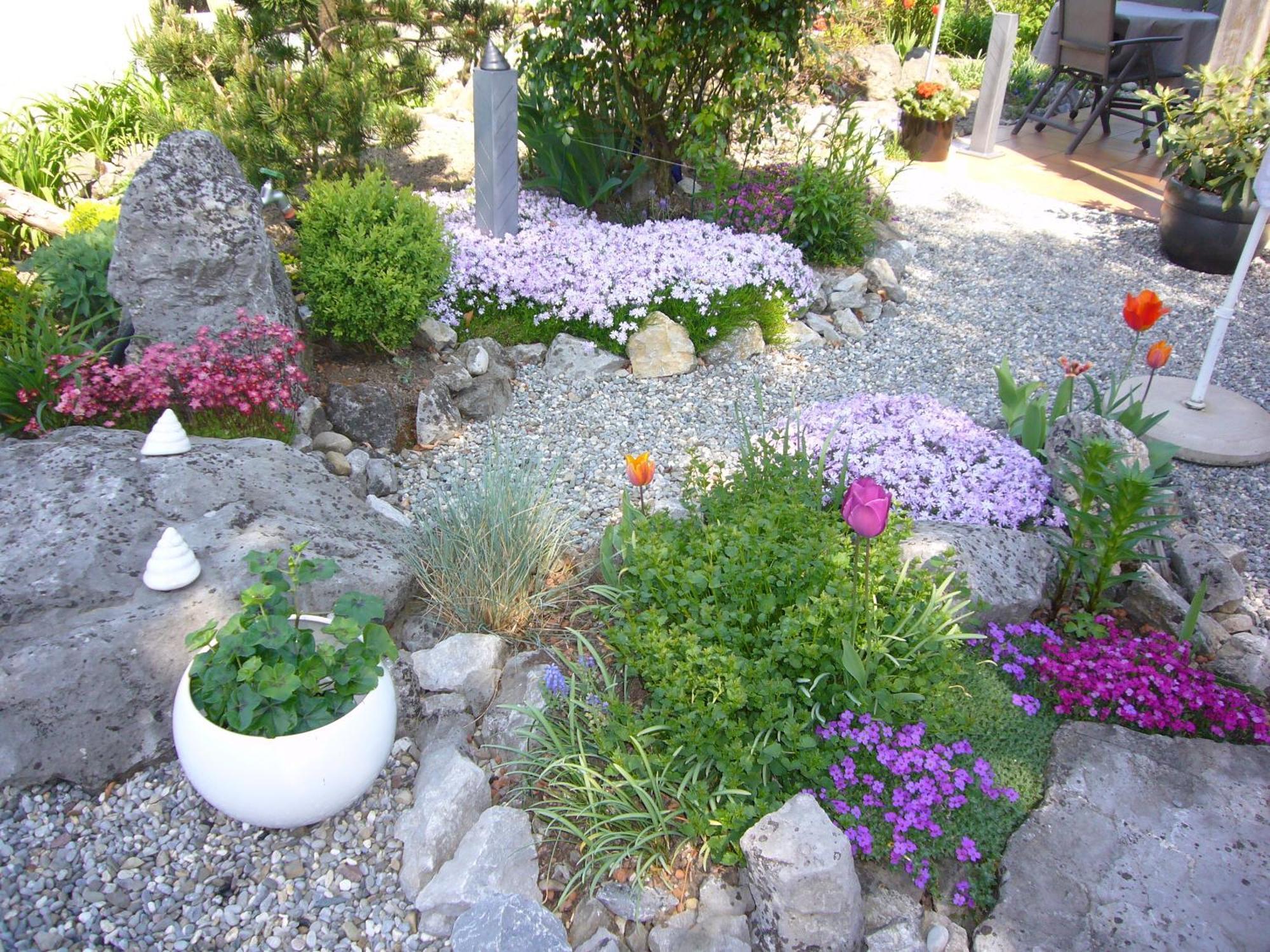 Reni'S Oase Am Bodensee Bed & Breakfast Kesswil Bagian luar foto