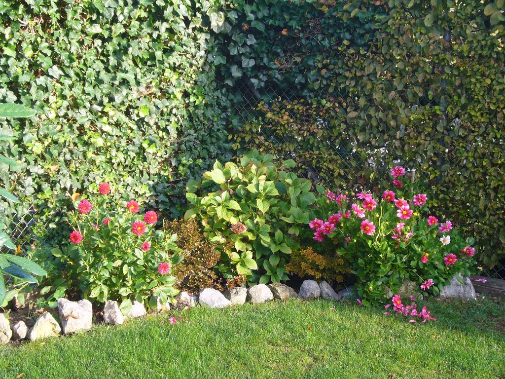 Reni'S Oase Am Bodensee Bed & Breakfast Kesswil Bagian luar foto