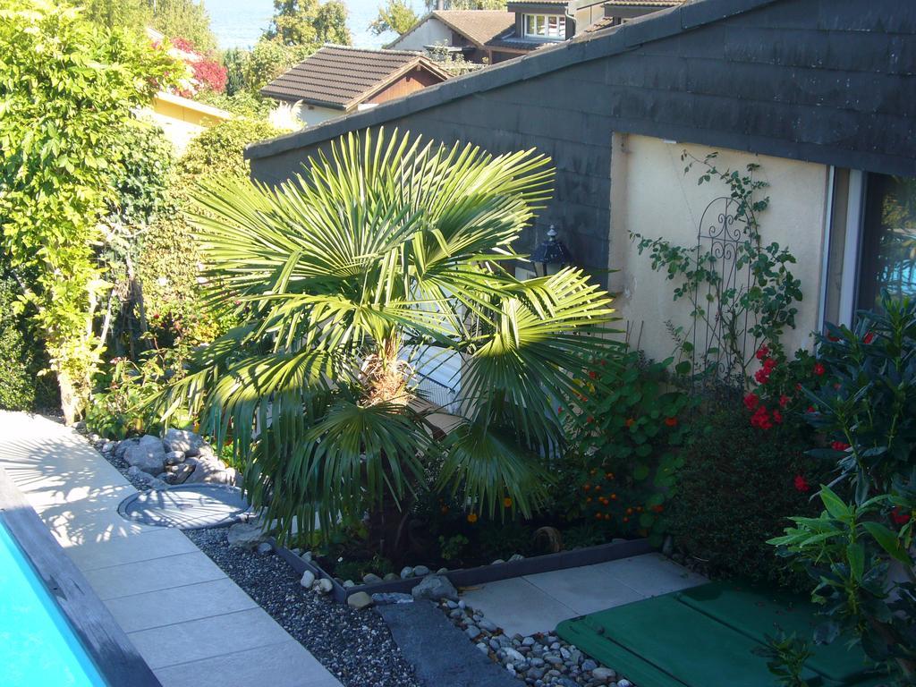 Reni'S Oase Am Bodensee Bed & Breakfast Kesswil Bagian luar foto