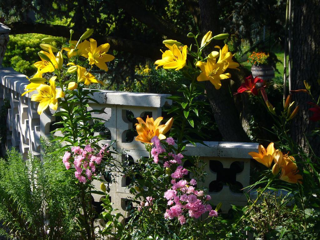 Reni'S Oase Am Bodensee Bed & Breakfast Kesswil Bagian luar foto