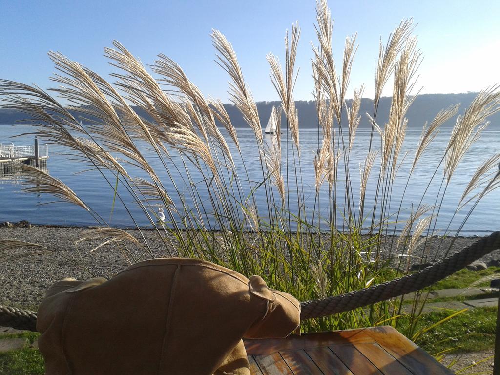 Reni'S Oase Am Bodensee Bed & Breakfast Kesswil Bagian luar foto