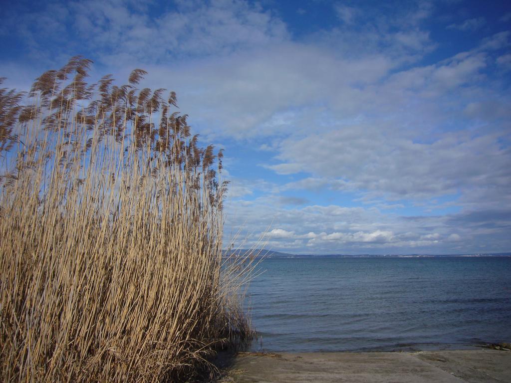 Reni'S Oase Am Bodensee Bed & Breakfast Kesswil Bagian luar foto