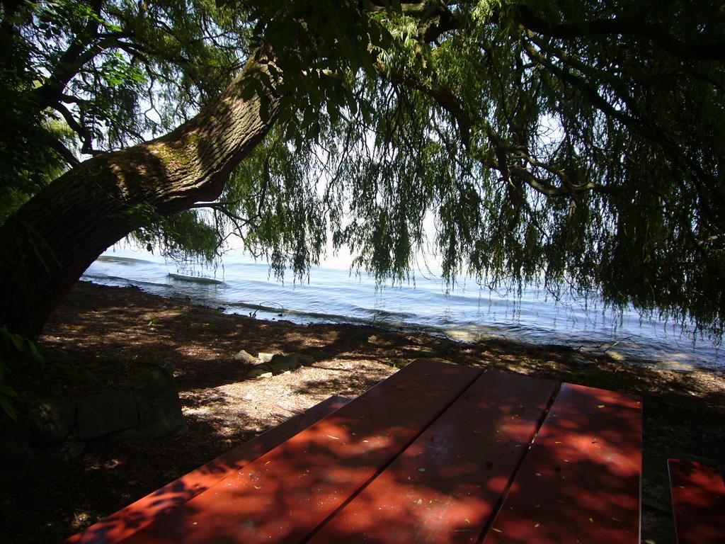 Reni'S Oase Am Bodensee Bed & Breakfast Kesswil Bagian luar foto