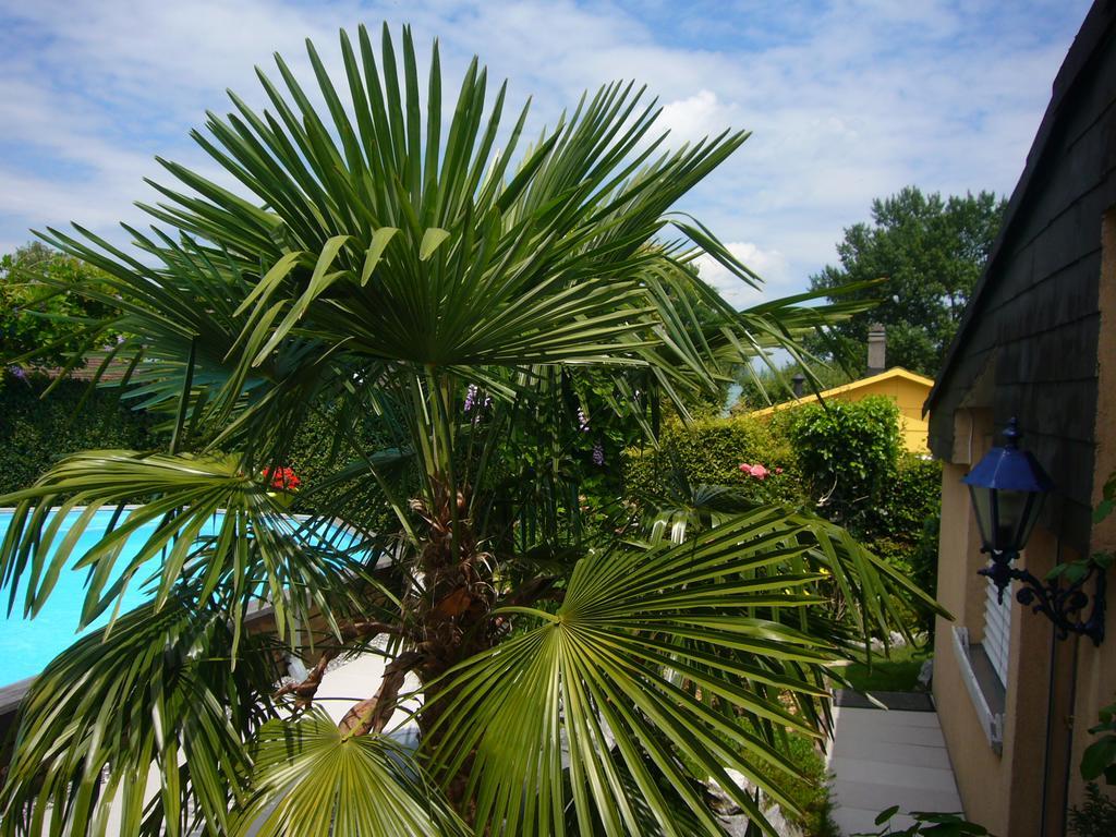 Reni'S Oase Am Bodensee Bed & Breakfast Kesswil Bagian luar foto